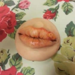 Cold Sore Cupcakesv