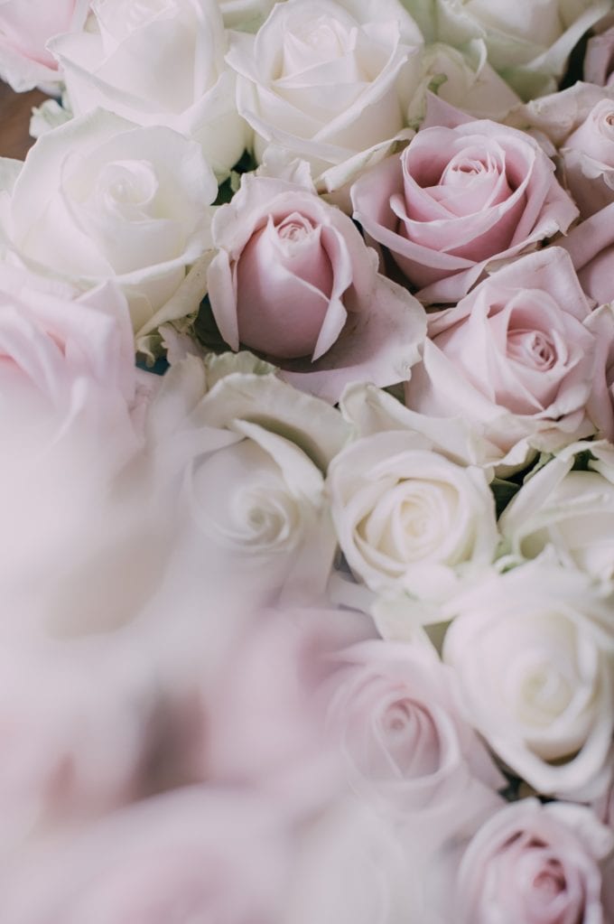 White and Blush Pink Roses