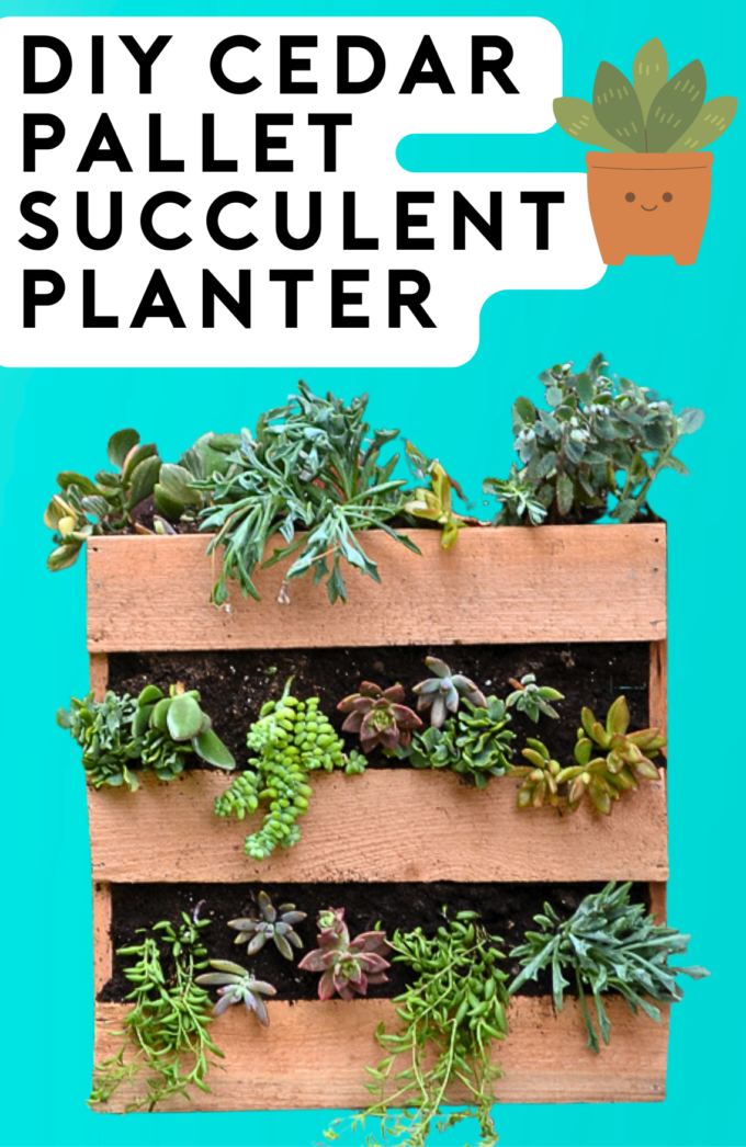 DIY Cedar Wood Pallet Succulent Planter