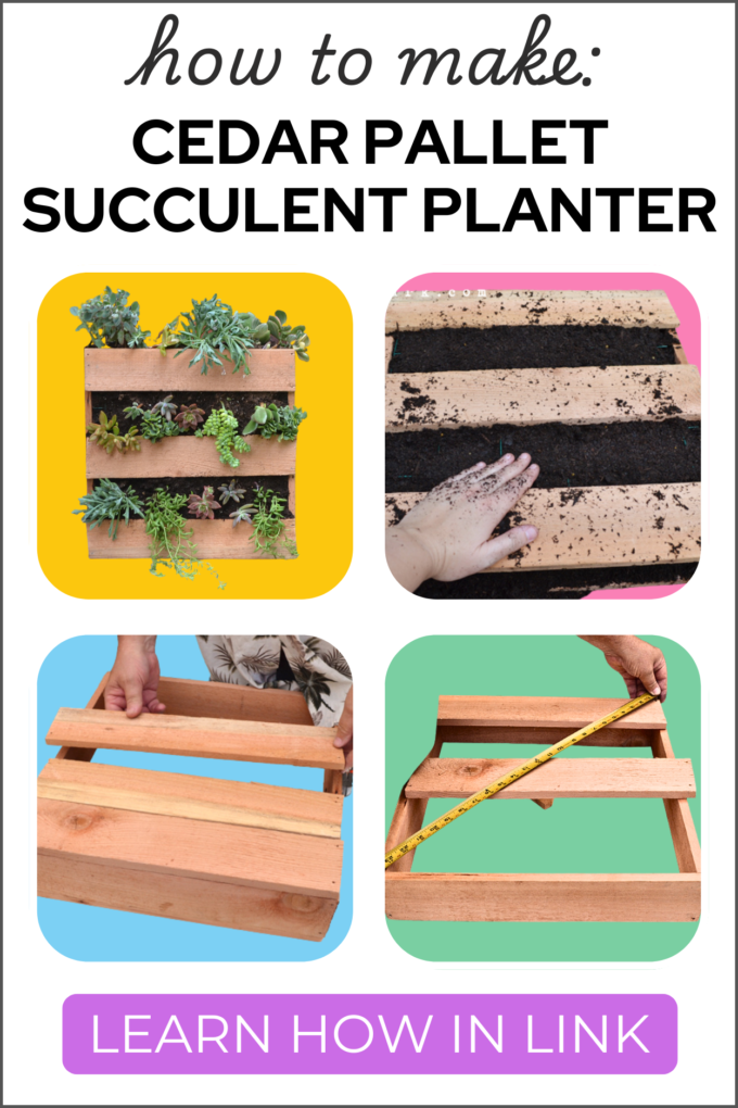 DIY Cedar Wood Pallet Succulent Planter