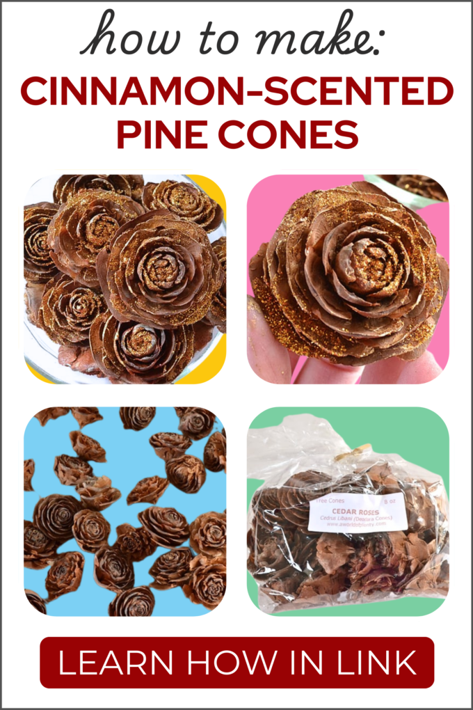 DIY Fall Cinnamon-Scented Pine Cones