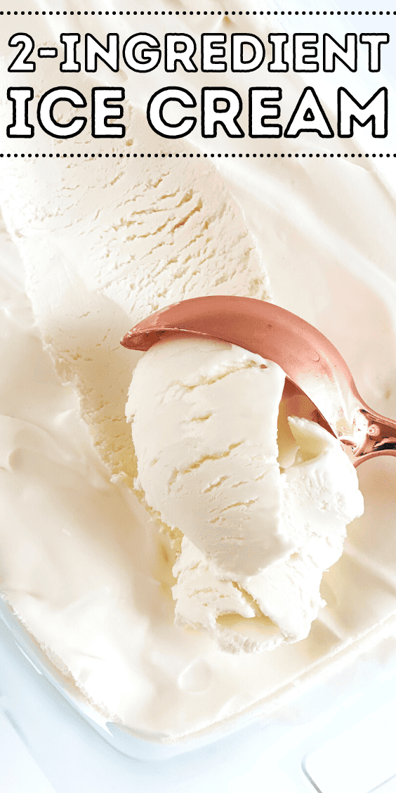 Easy 2-Ingredient Vanilla Ice Cream Recipe