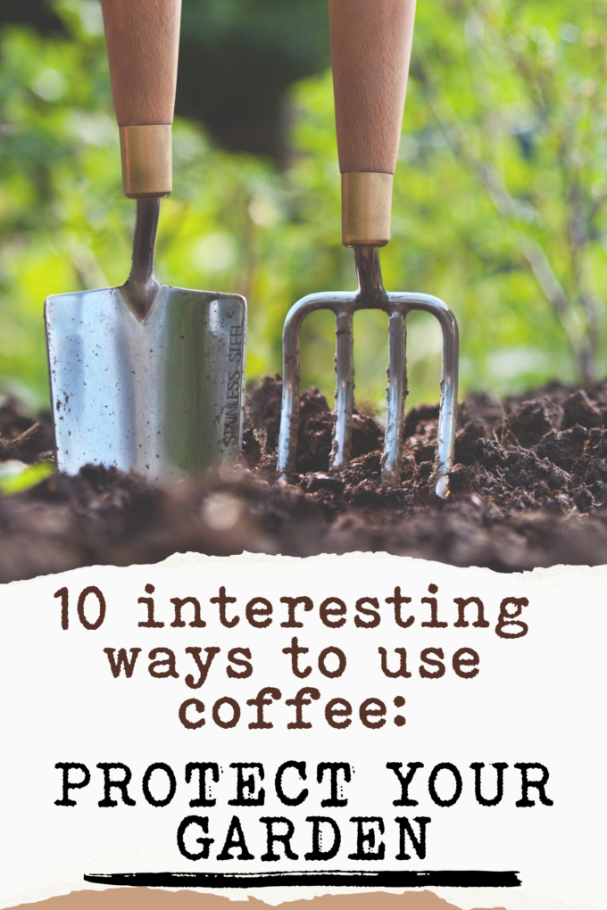 10 interesting ways to use coffee PROTECT YOUR GARDEN