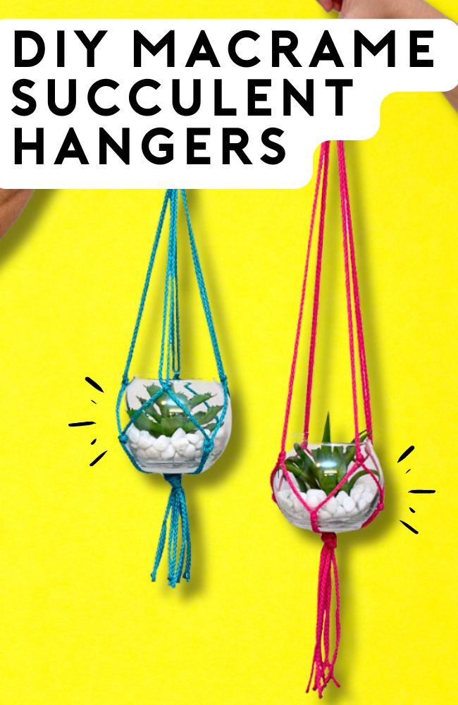 How to Make Macrame Succulent Hangers